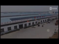 Shandong Xuguang Şirketi